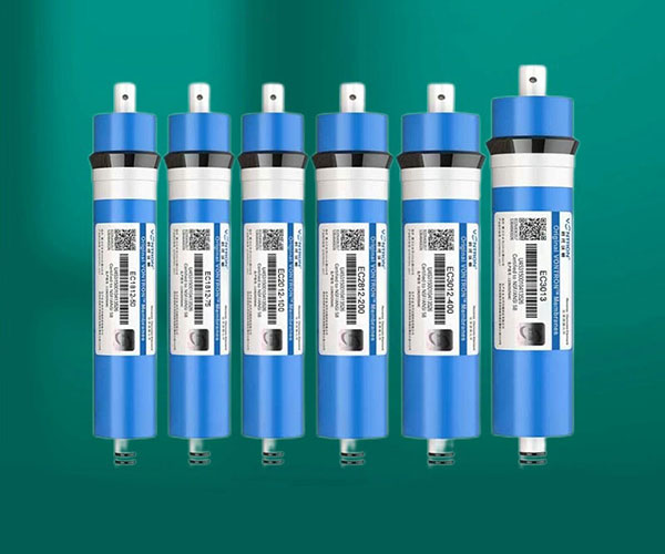RO membrane filter element assembly